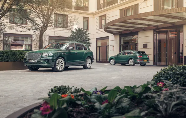 Bentley, Bentley Bentayga Hybrid Peninsula London, Bentayga