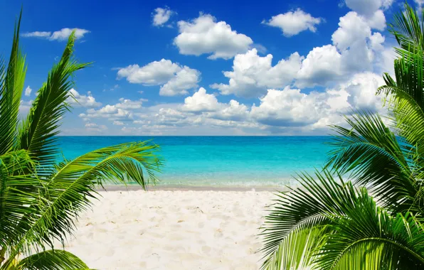 Картинка песок, море, пляж, небо, солнце, тропики, пальмы, океан, берег, summer, sunshine, beach, sky, sea, ocean, …