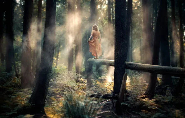 Картинка лес, девушка, туман, настроение