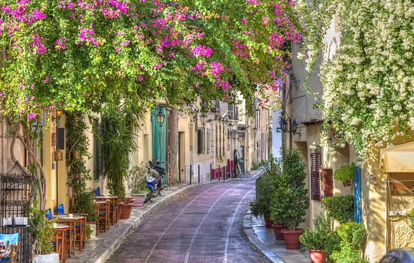 Картинка цветы, город, весна, Greece