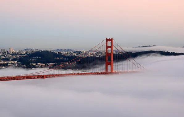 Картинка мост, туман, мост в тумане