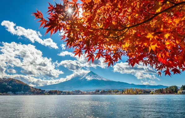 Картинка осень, листья, озеро, Япония, Japan, гора Фуджи, landscape, autumn