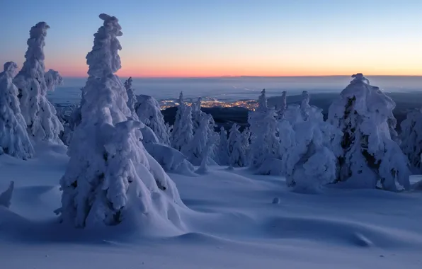 Зима, снег, деревья, рассвет, утро, Германия, панорама, сугробы