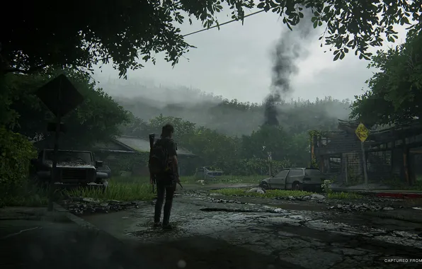 Картинка лес, машины, дым, деревня, арт, Элли, The Last of Us Part II