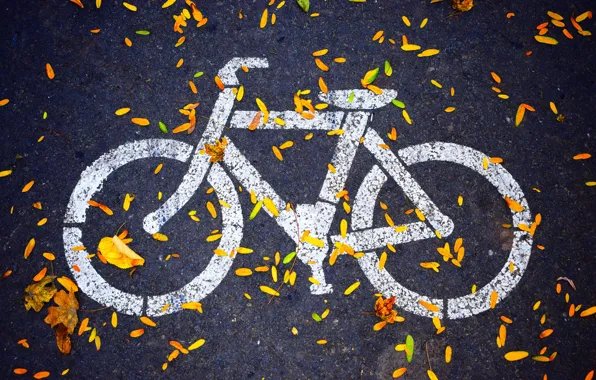 Картинка осень, асфальт, hdr, тротуар, велодорожка, рисунок на асфальте, велоиспед, листья на дороге