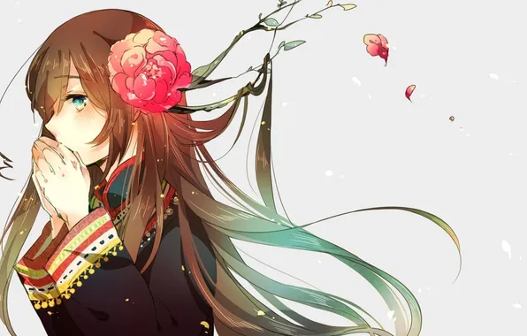 Картинка цветок, взгляд, девушка, лепестки, каштановые волосы, Taiwan, Axis Powers: Hetalia, Kamitsuki
