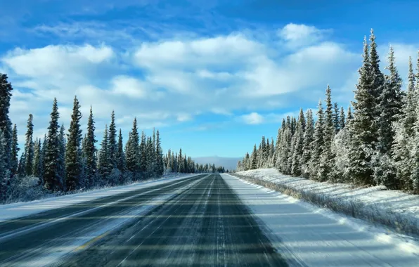 Картинка зима, дорога, небо, снег, деревья, утро, ели, sky