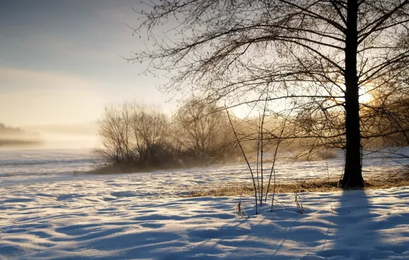 Картинка зима, небо, трава, солнце, снег, восход, дерево, утро