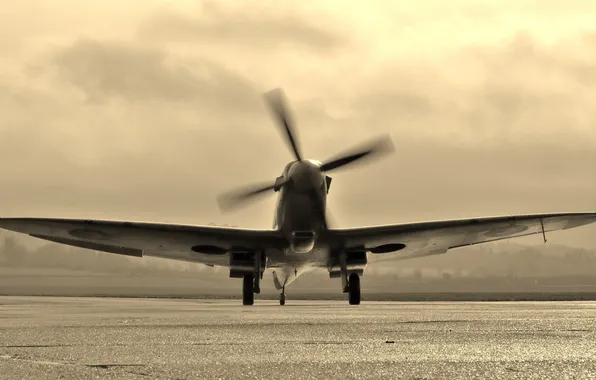 Картинка самолет, британский, учебно-тренировочный, Spitfire Tr.9