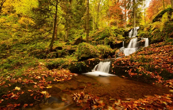 Картинка осень, лес, листья, деревья, Франция, водопад, каскад, France