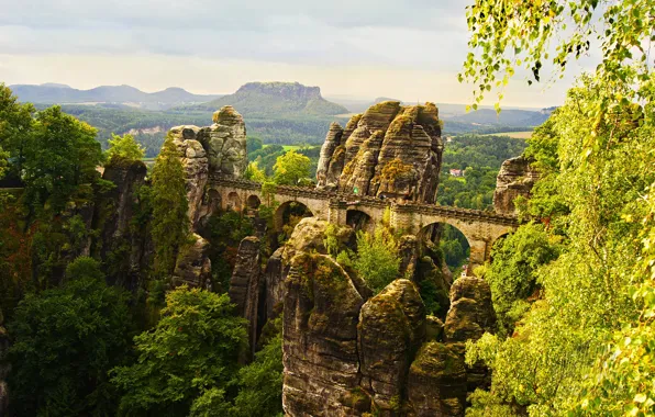 Деревья, мост, парк, камни, скалы, высота, Германия, Saxon Switzerland National Park