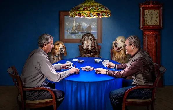Собаки, карты, игра, часы, фишки, покер, мужчины