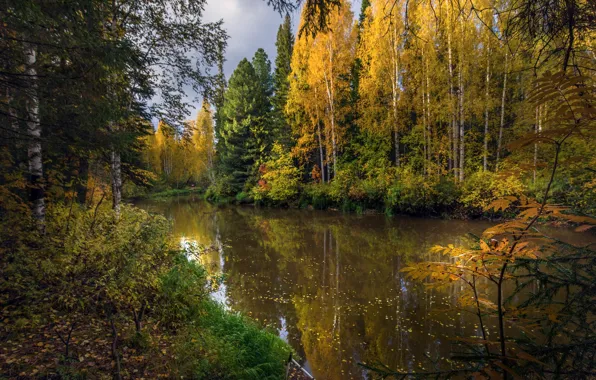 Картинка осень, лес, пейзаж, природа, отражение, река