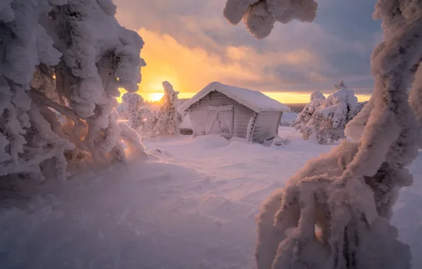 Картинка зима, снег, закат, избушка, сугробы, хижина, Россия, деревь