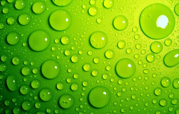 Картинка вода, капли, фон, зелёные