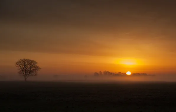 Картинка Nature, sunrise, Fenland