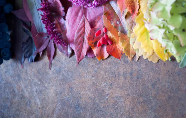 Картинка осень, ягоды, листики
