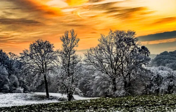 Зима, деревья, закат