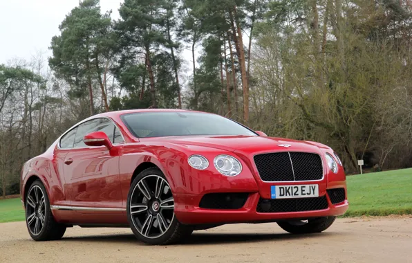 Картинка трава, деревья, красный, Bentley, red, grass, continental, tree