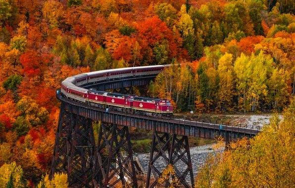 Картинка forest, Canada, trees, bridge, autumn, train, Ontario, aqueduct