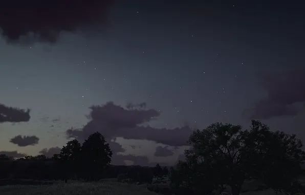 Game, UHD, Red Dead Redemption 2, Xbox One X, RDR2, Photography by Tom