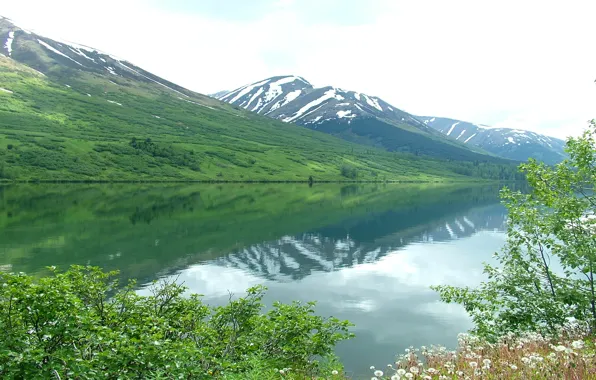 Небо, цветы, горы, озеро, Аляска, США, alaska, kenai