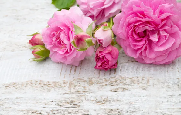 Цветы, розы, букет, розовые, бутоны, pink, flowers, roses