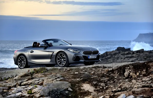 Картинка вода, серый, берег, BMW, родстер, BMW Z4, M40i, Z4