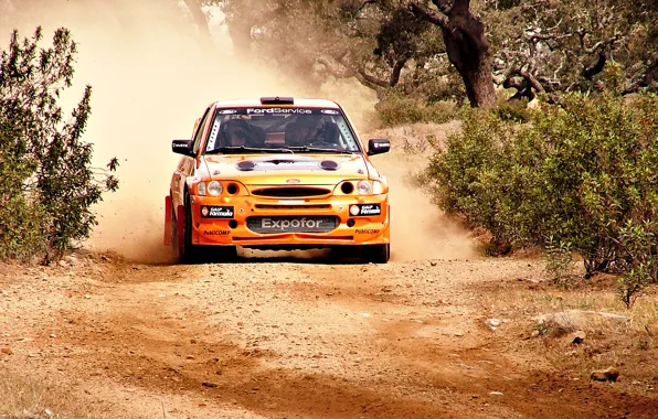 Ford, Rally, Escort, Escort Rally, Ford Escort RS Cosworth, Ford Rally, Cosworth, Off road