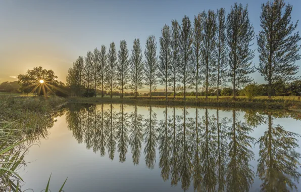 Картинка деревья, закат, пруд, отражение, Англия, England, Northumberland, Нортумберленд