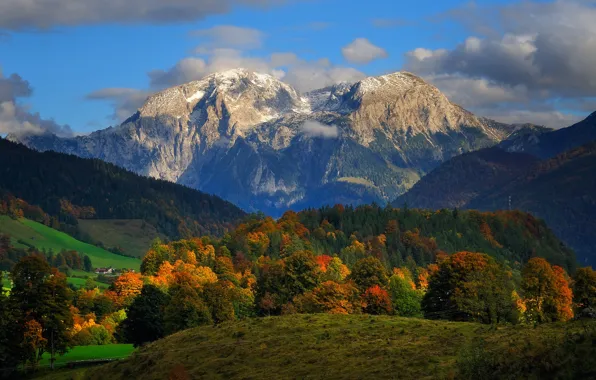 Картинка осень, облака, пейзаж, горы, природа, Германия, Альпы, леса