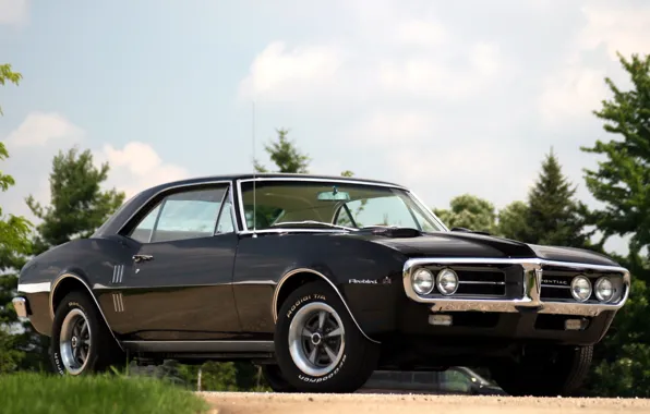Небо, фон, чёрный, купе, Pontiac, Понтиак, 1967, передок