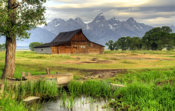 Картинка трава, деревья, горы, дом, камыши, ручей, долина, США
