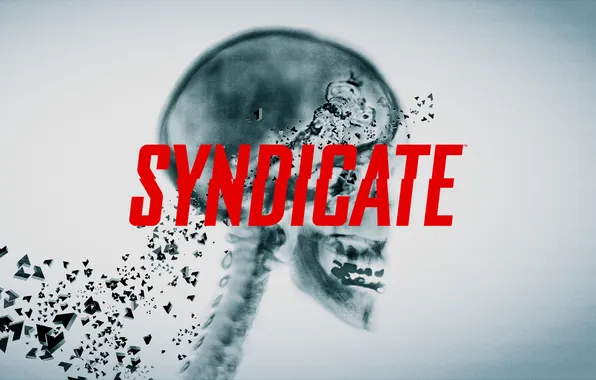 Картинка череп, лого, Syndicate, синдикат