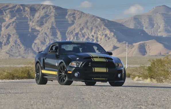 Mustang, Ford, Shelby