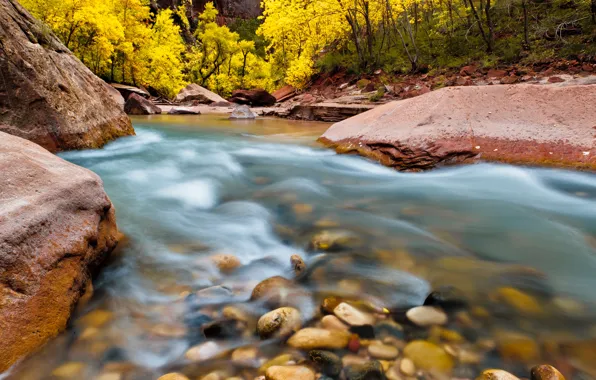 Деревья, природа, река, камни, скалы, Юта, США, Национальный парк