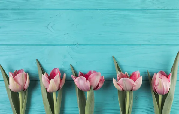 Цветы, тюльпаны, розовые, pink, flowers, beautiful, tulips, spring