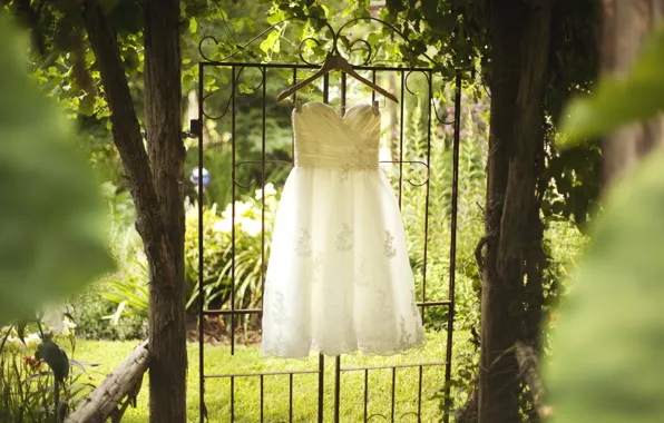 Деревья, белое, платье, свадьба