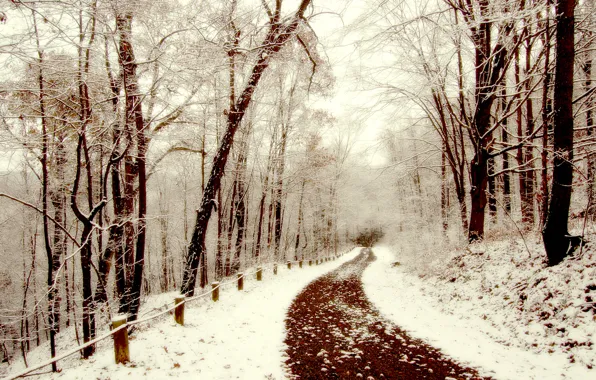 Картинка зима, снег, прогулка, тропинка