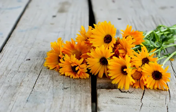 Цветы, букет, герберы, wood, flowers, orange, gerbera