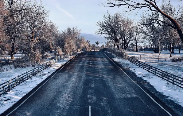 HDR, Wood, Winter, Snow, Street, Game, Trees, Cold