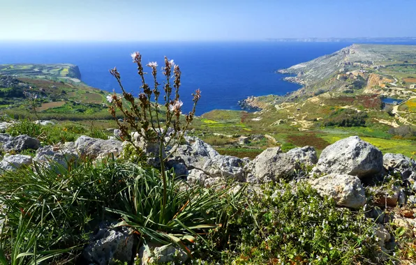Картинка море, небо, камни, скалы, растение, залив, Мальта