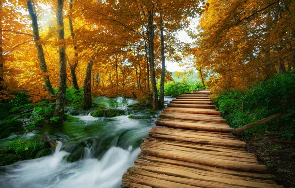 Картинка лес, пейзаж, природа, озеро, мостик, Хорватия, Plitvice