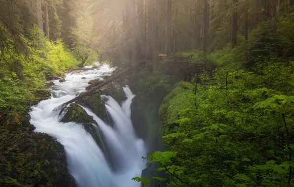 Картинка лес, река, водопад, Washington, Olympic National Park, Sol Duc Falls, Sol Duc River, Национальный парк …