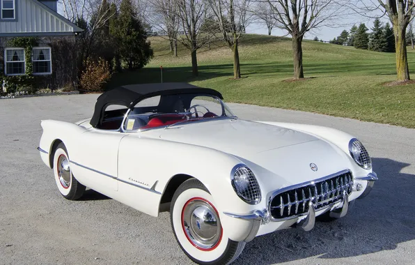Белый, деревья, Corvette, Chevrolet, 1953, спорткар, кабриолет, шевроле