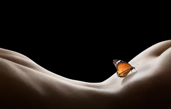 Sexy, ass, butterfly, naked