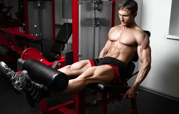 Legs, power, men, abs, bodybuilder