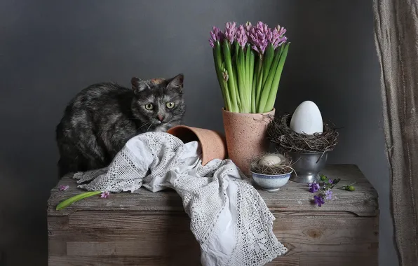 Кошка, кот, доски, яйцо, яйца, букет, весна, Пасха