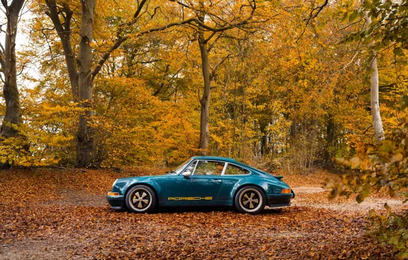 Картинка car, 911, Porsche, autumn, 964, Theon Design Porsche 911
