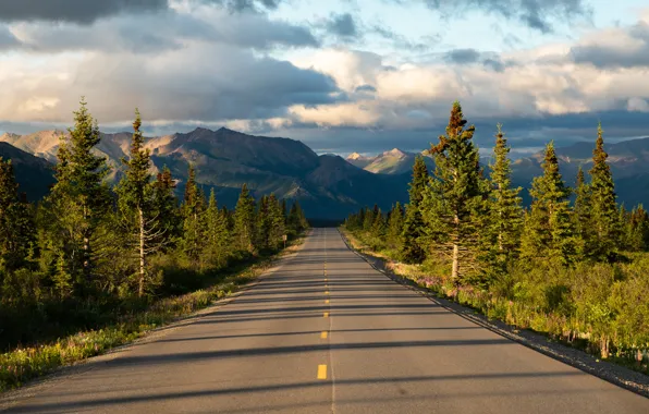 Дорога, деревья, горы, Аляска